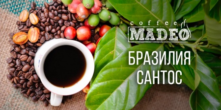 Бразилия Сантос NY2 Fine Cup