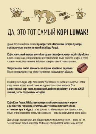 Индонезия Суматра Копи Лювак Wild