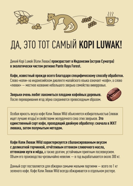 Индонезия Суматра Копи Лювак Wild Индонезия Суматра Копи Лювак Wild