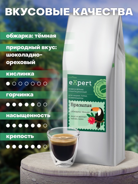 Бразилия eXpert Бразилия eXpert