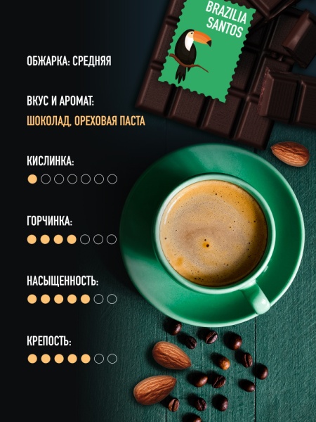 Бразилия Сантос