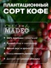 Эфиопия Mokka Tippi Эфиопия Mokka Tippi