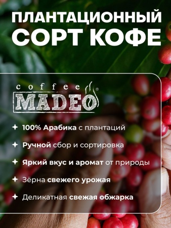 Эфиопия Mokka Tippi Эфиопия Mokka Tippi