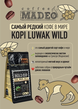 Индонезия Суматра Копи Лювак Wild